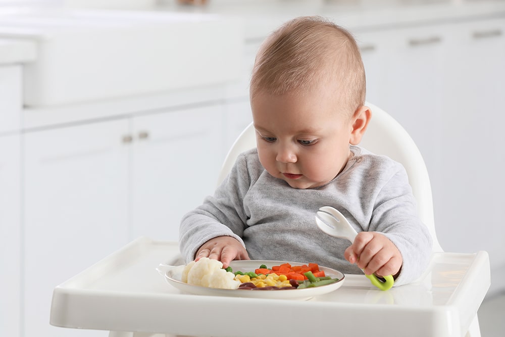 A Healthy Food Program Included For Older Babies
